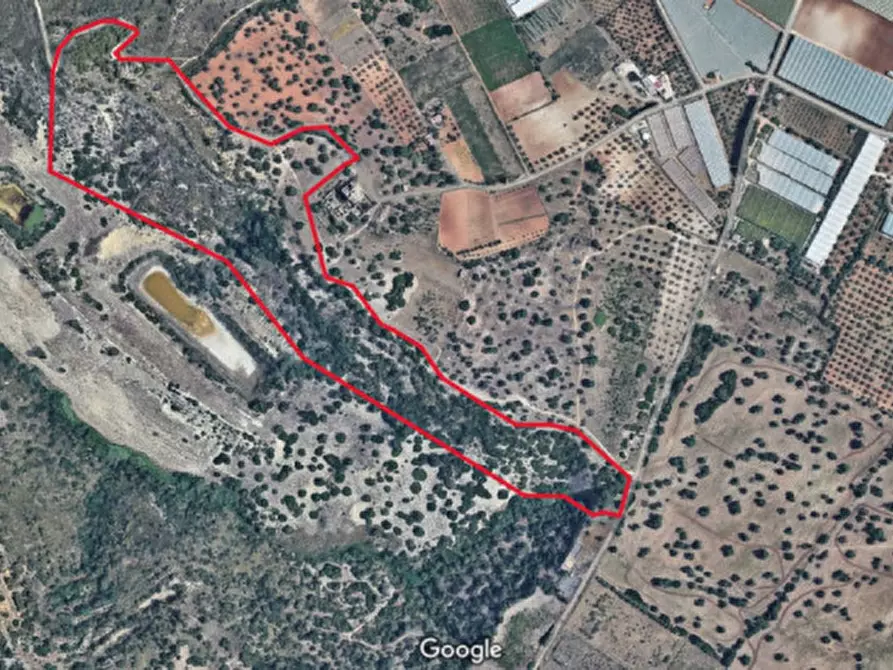 Immagine 6 di Terreno in vendita  in Contrada Torre Vecchia a Vittoria