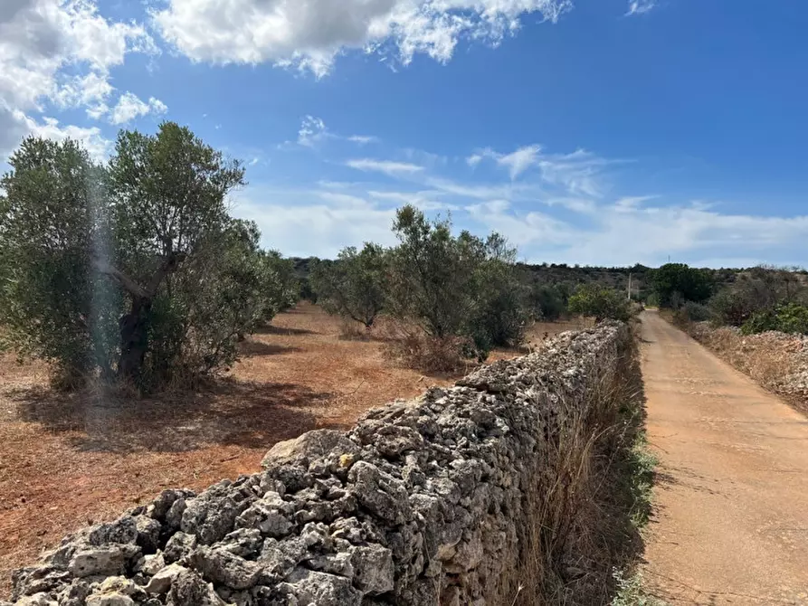 Immagine 1 di Terreno in vendita  in Contrada Monnittola a Gallipoli