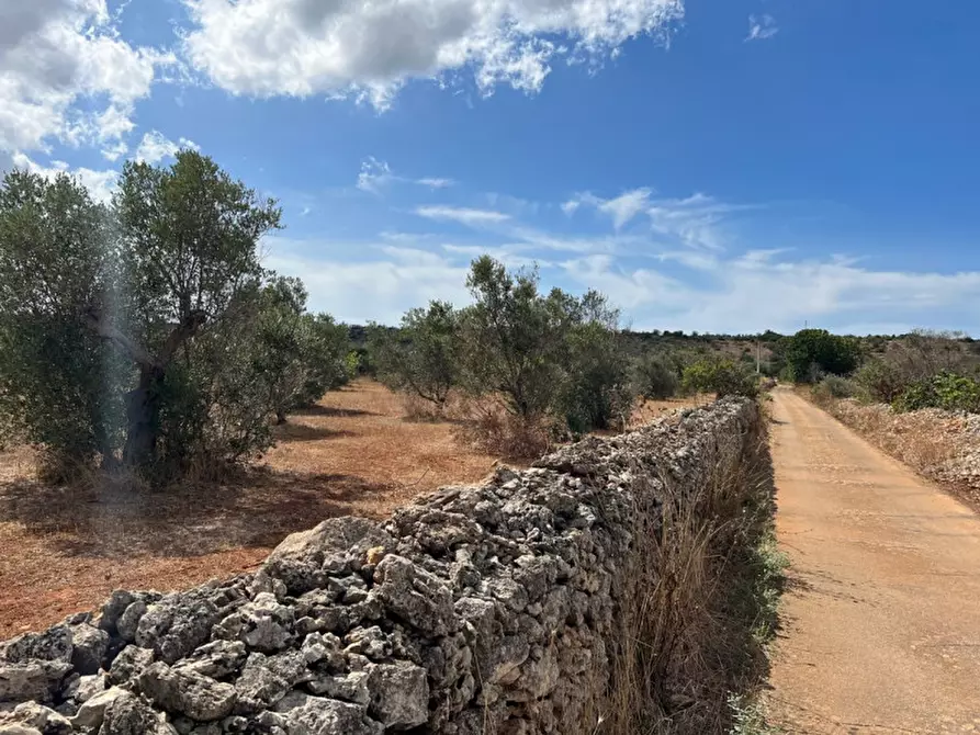 Immagine 5 di Terreno in vendita  in Contrada Monnittola a Gallipoli