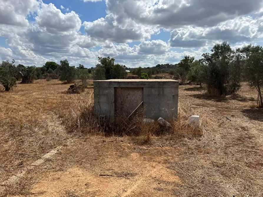 Immagine 6 di Terreno in vendita  in Contrada Monnittola a Gallipoli