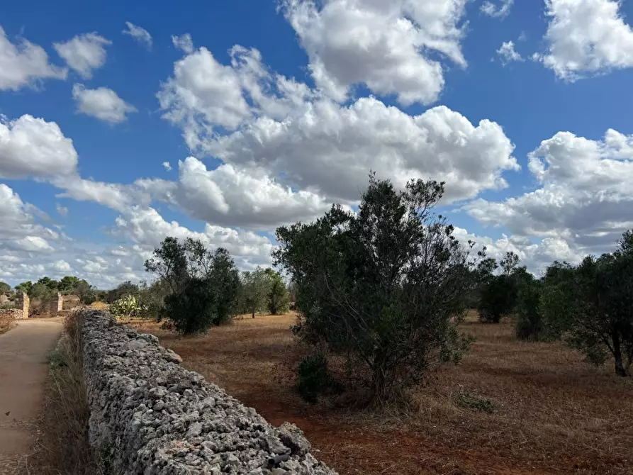 Immagine 9 di Terreno in vendita  in Contrada Monnittola a Gallipoli