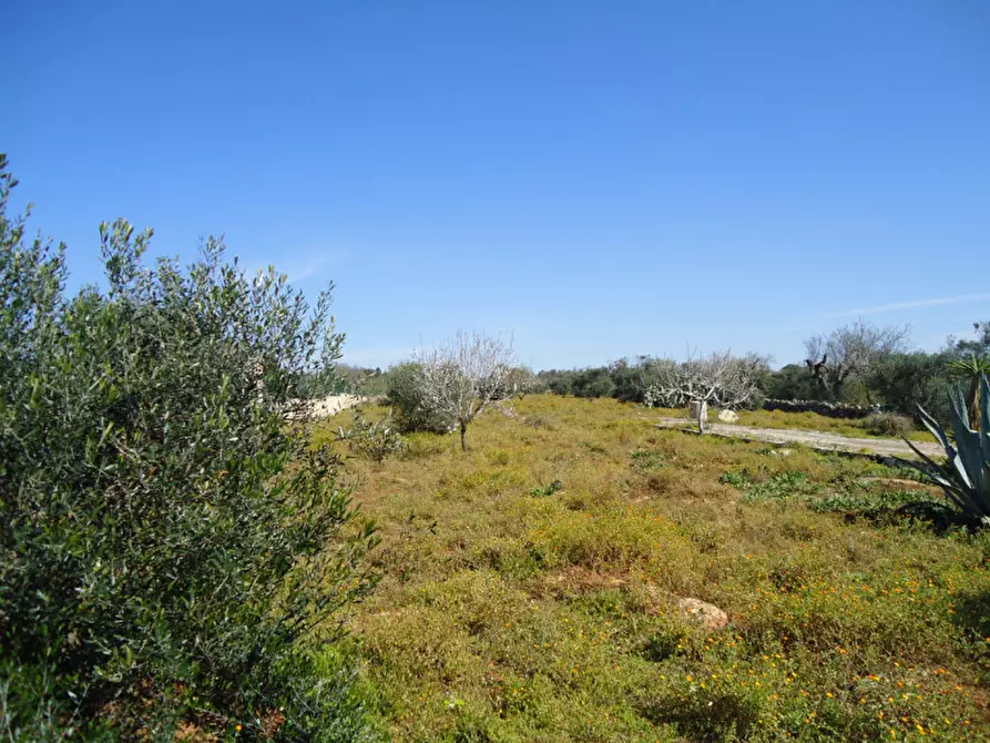 Immagine 2 di Terreno in vendita  in Via Bove Dei Beneficati a Taviano