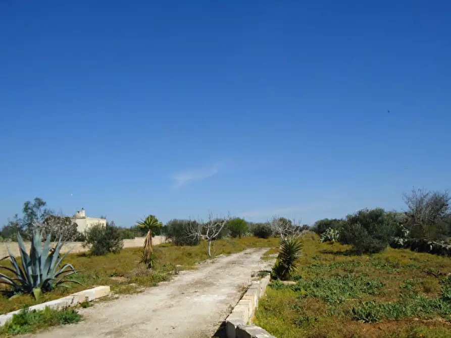 Immagine 3 di Terreno in vendita  in Via Bove Dei Beneficati a Taviano