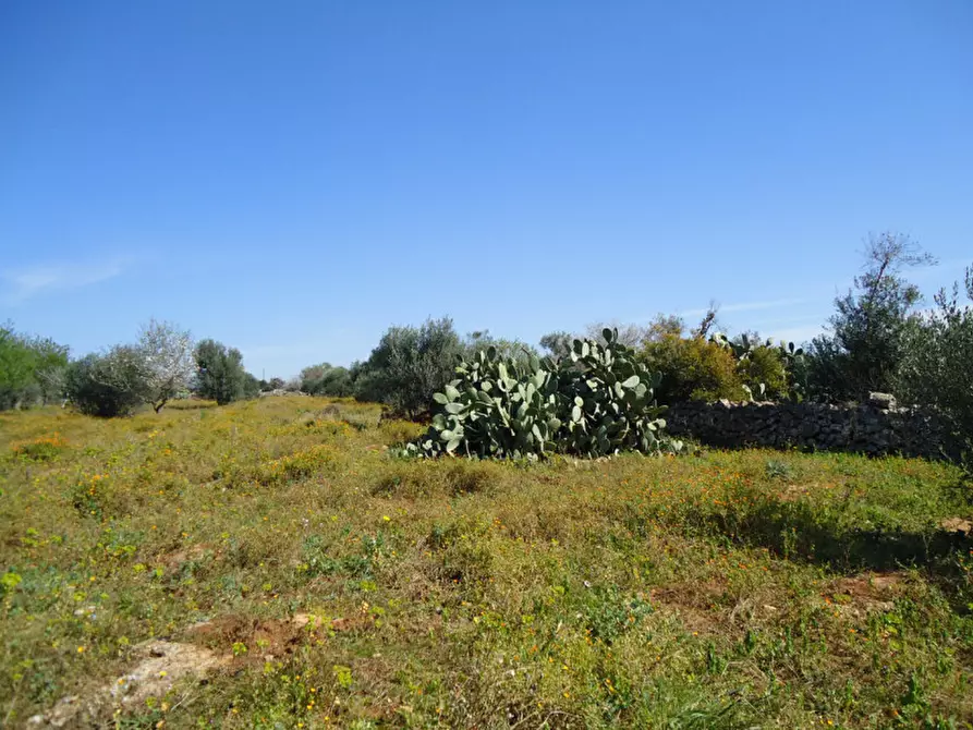 Immagine 8 di Terreno in vendita  in Via Bove Dei Beneficati a Taviano