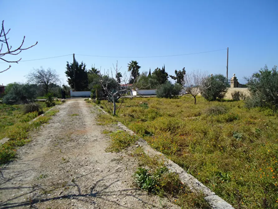 Immagine 9 di Terreno in vendita  in Via Bove Dei Beneficati a Taviano