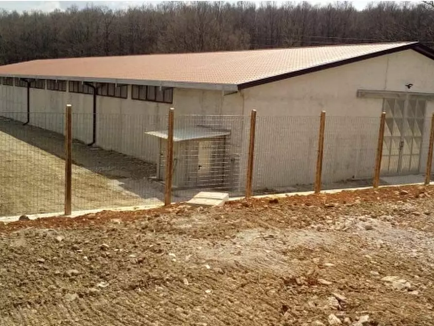 Immagine 2 di Laboratorio in vendita  a Castelsaraceno