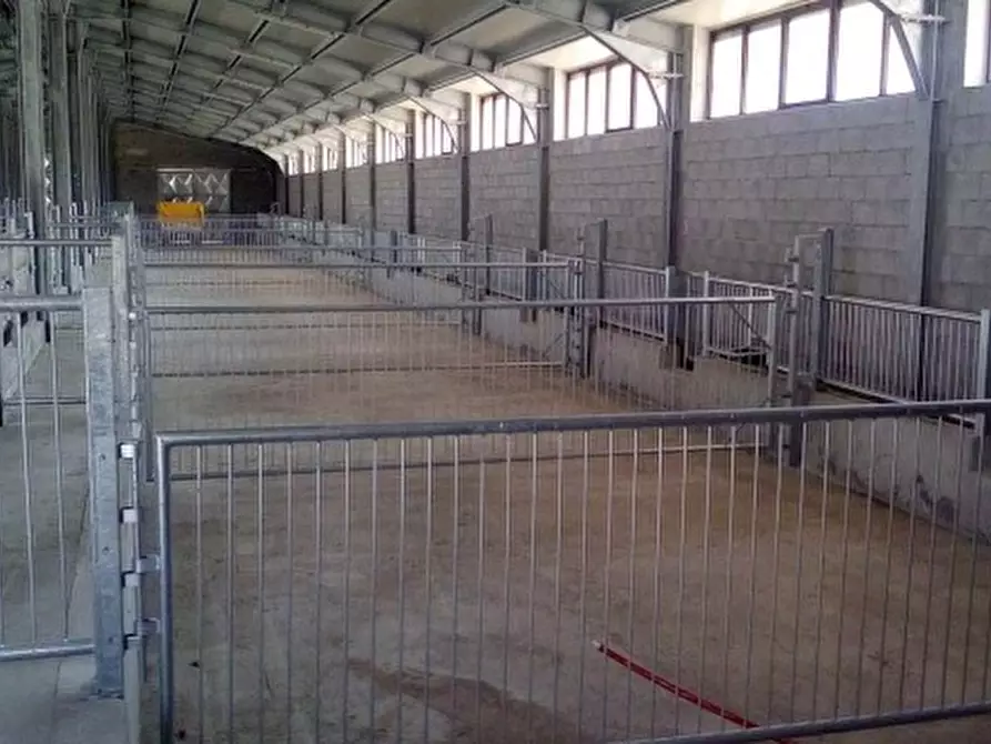 Immagine 3 di Laboratorio in vendita  a Castelsaraceno