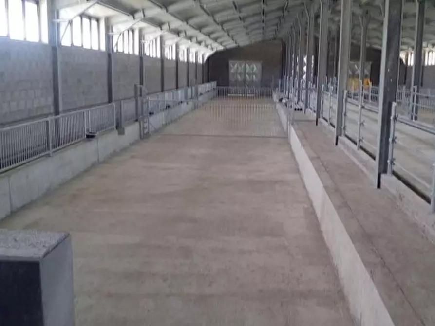 Immagine 4 di Laboratorio in vendita  a Castelsaraceno