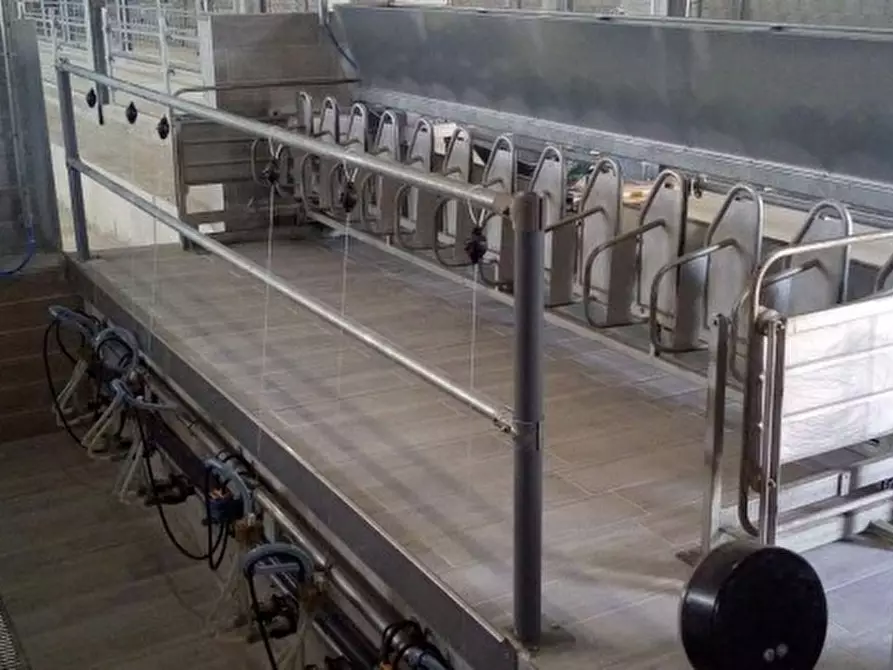 Immagine 5 di Laboratorio in vendita  a Castelsaraceno