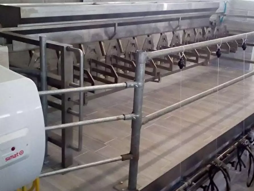 Immagine 6 di Laboratorio in vendita  a Castelsaraceno