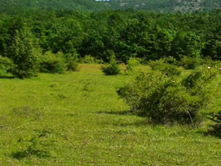 Immagine 10 di Laboratorio in vendita  a Castelsaraceno