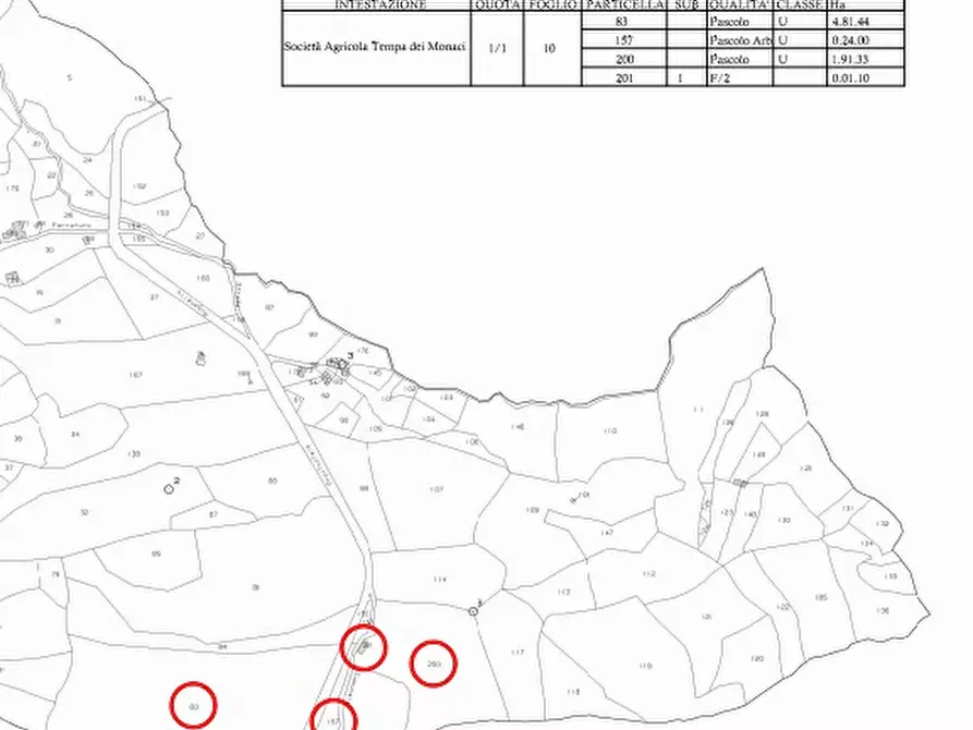 Immagine 14 di Laboratorio in vendita  a Castelsaraceno