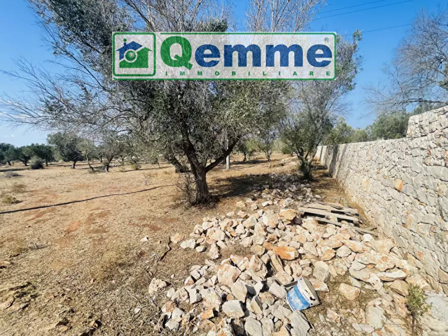 Immagine 5 di Terreno in vendita  in strada statale 101 a Lequile