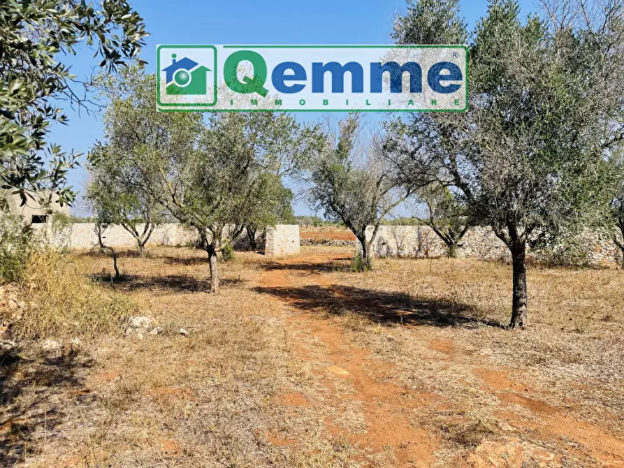Immagine 6 di Terreno in vendita  in strada statale 101 a Lequile