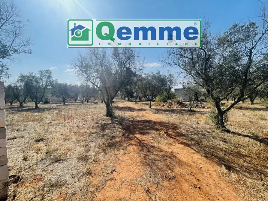 Immagine 15 di Terreno in vendita  in strada statale 101 a Lequile
