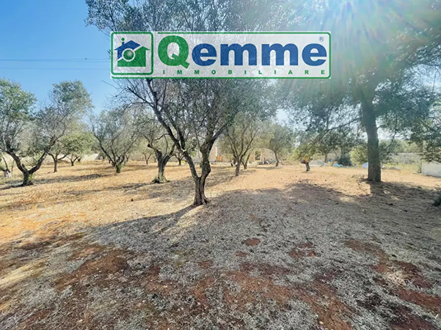 Immagine 16 di Terreno in vendita  in strada statale 101 a Lequile