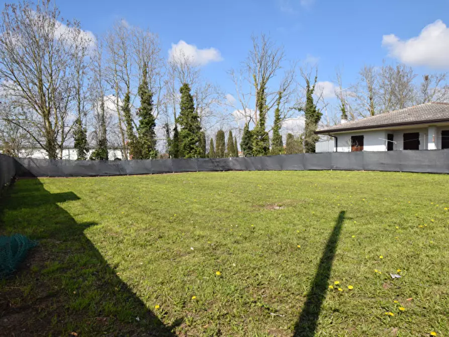 Immagine 9 di Terreno in vendita  in Via Boligo a Campolongo Maggiore