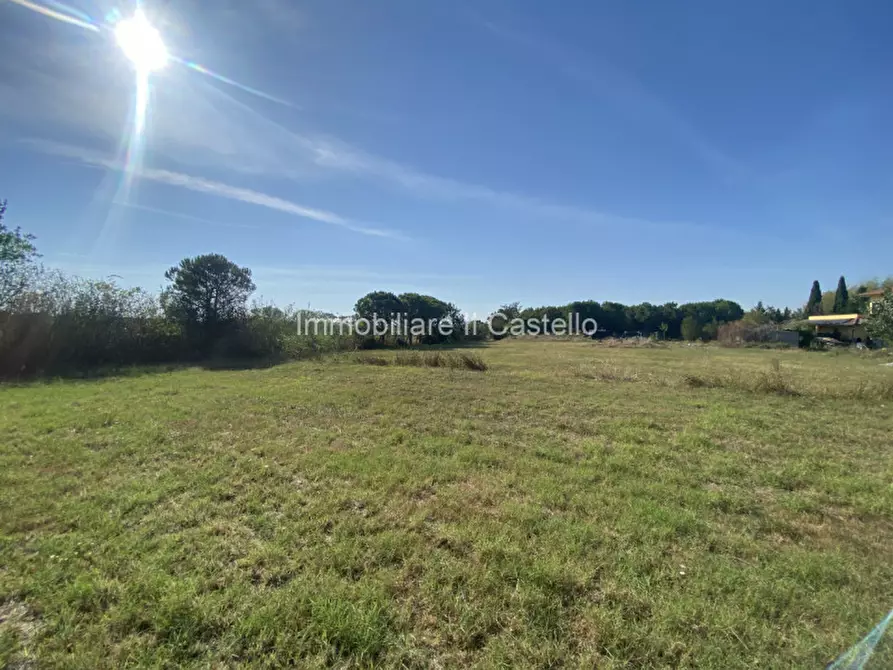 Immagine 3 di Terreno in vendita  in Pieracci a Castiglione Del Lago