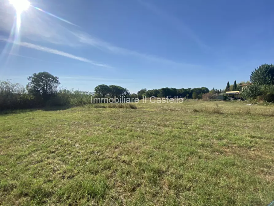 Immagine 4 di Terreno in vendita  in Pieracci a Castiglione Del Lago