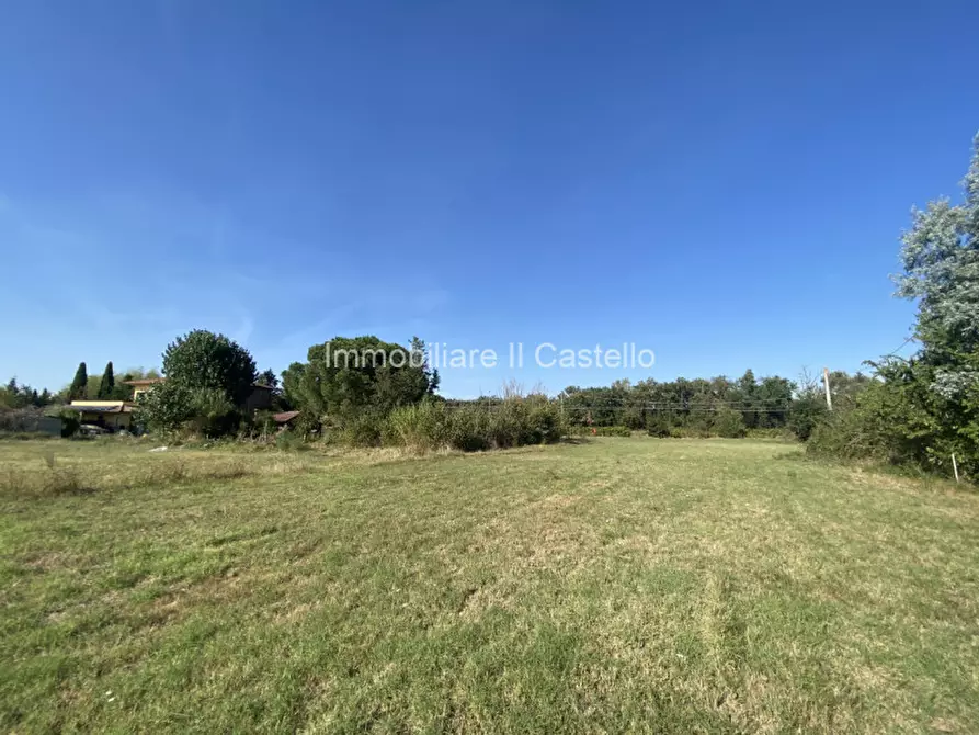Immagine 5 di Terreno in vendita  in Pieracci a Castiglione Del Lago