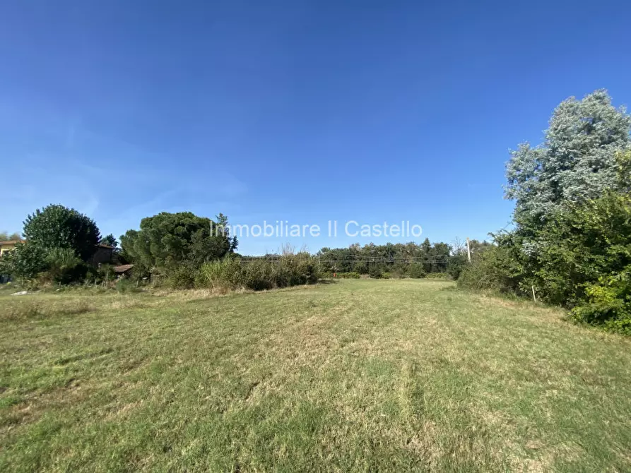Immagine 6 di Terreno in vendita  in Pieracci a Castiglione Del Lago