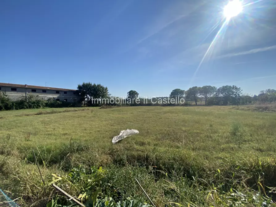 Immagine 8 di Terreno in vendita  in Pieracci a Castiglione Del Lago