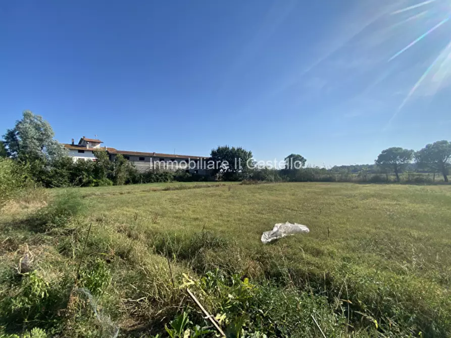 Immagine 10 di Terreno in vendita  in Pieracci a Castiglione Del Lago