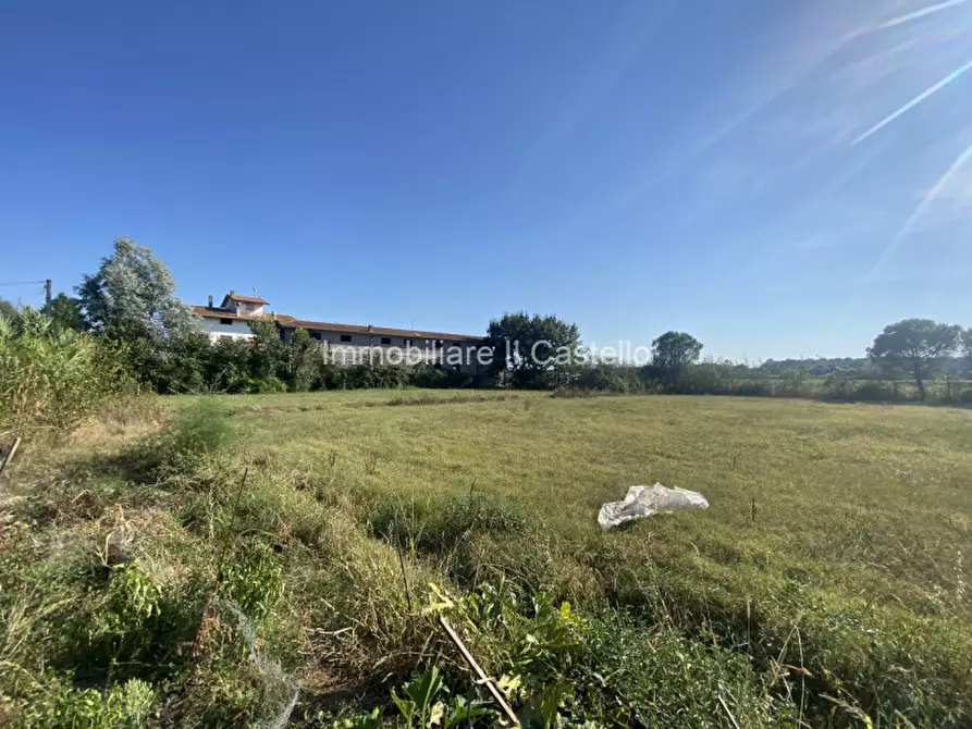 Immagine 11 di Terreno in vendita  in Pieracci a Castiglione Del Lago