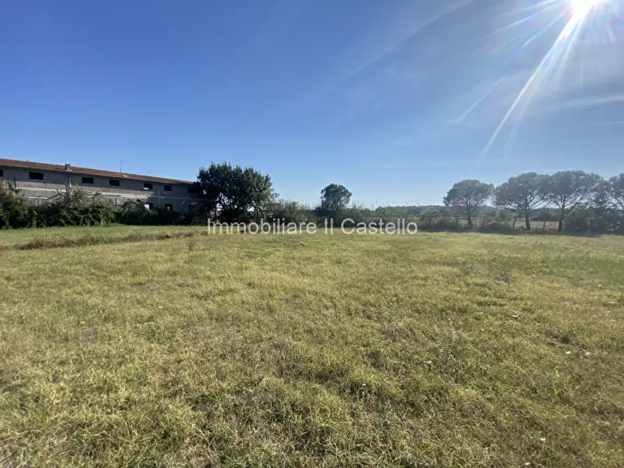 Immagine 13 di Terreno in vendita  in Pieracci a Castiglione Del Lago