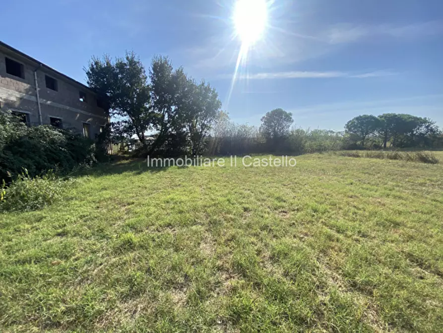 Immagine 17 di Terreno in vendita  in Pieracci a Castiglione Del Lago