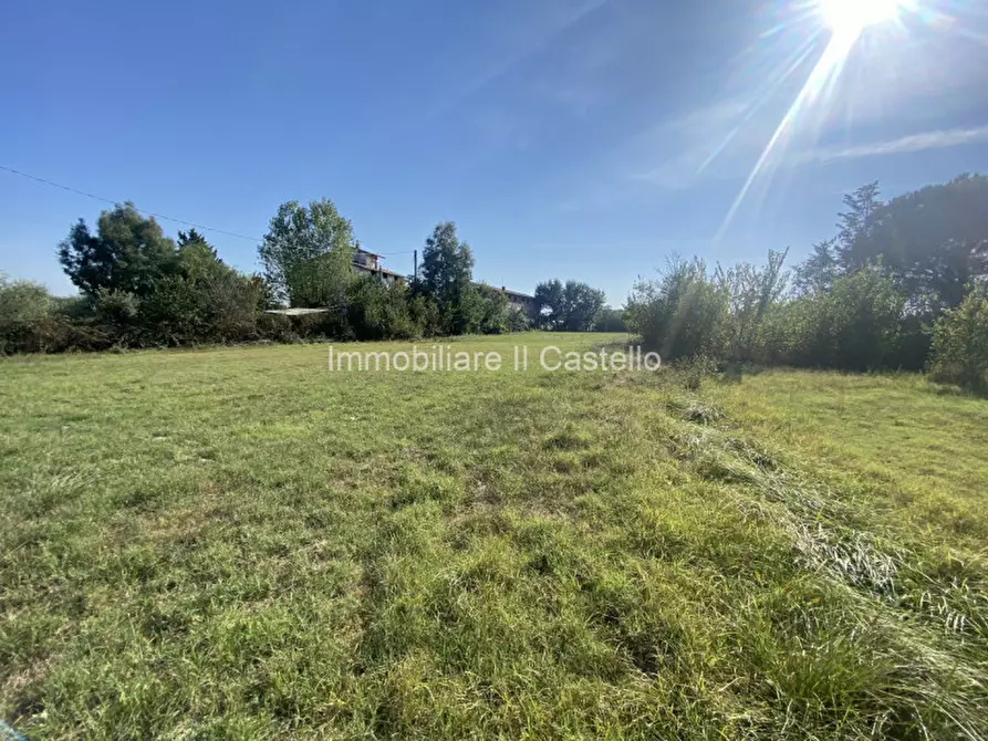 Immagine 3 di Terreno in vendita  in Pieracci a Castiglione Del Lago
