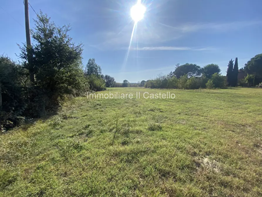 Immagine 4 di Terreno in vendita  in Pieracci a Castiglione Del Lago