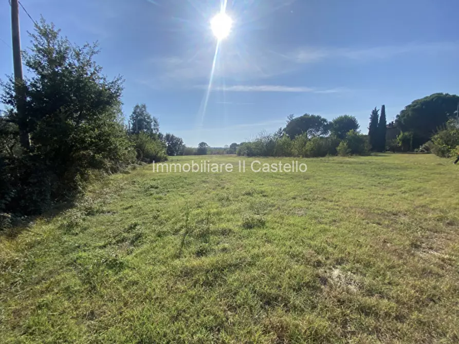 Immagine 5 di Terreno in vendita  in Pieracci a Castiglione Del Lago