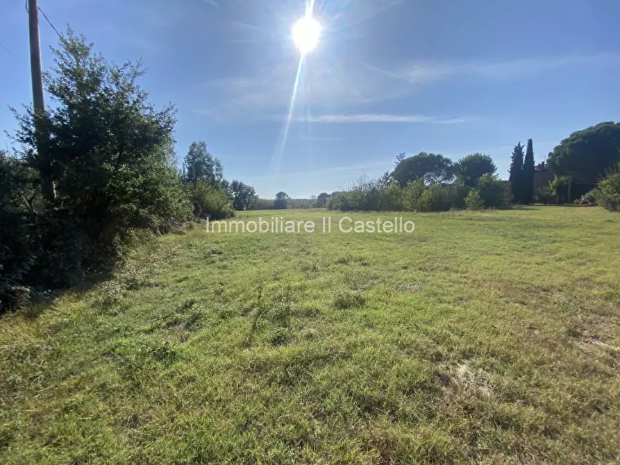 Immagine 6 di Terreno in vendita  in Pieracci a Castiglione Del Lago