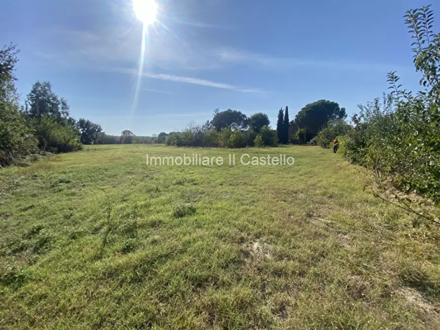 Immagine 7 di Terreno in vendita  in Pieracci a Castiglione Del Lago