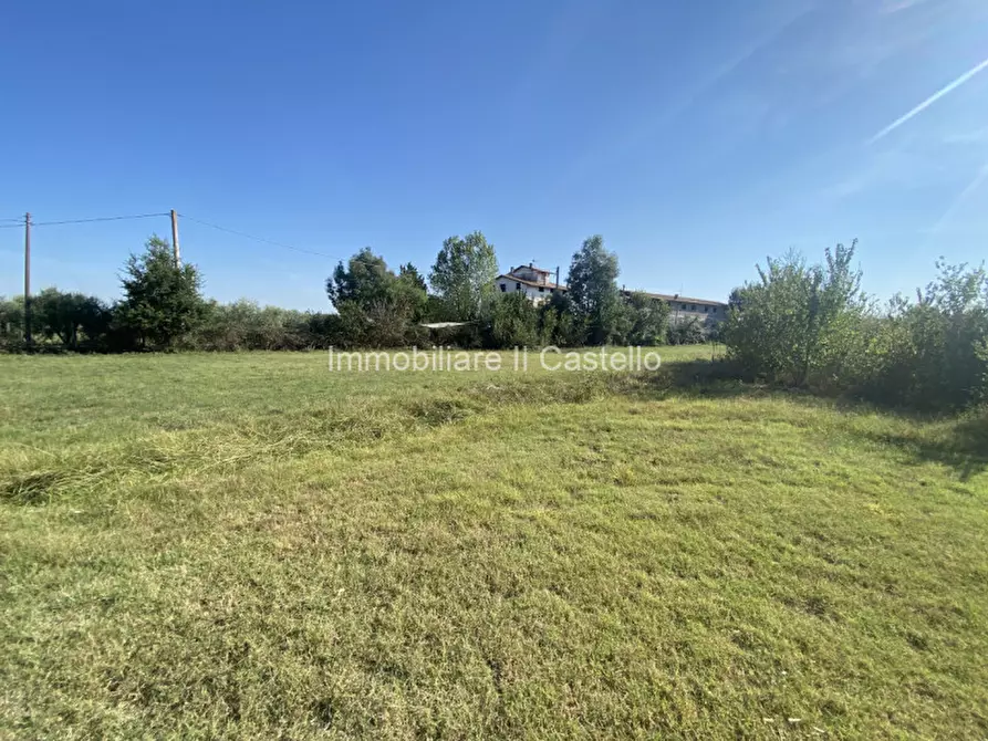 Immagine 8 di Terreno in vendita  in Pieracci a Castiglione Del Lago