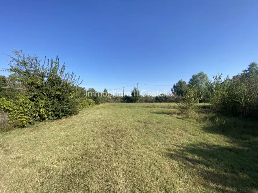 Immagine 10 di Terreno in vendita  in Pieracci a Castiglione Del Lago