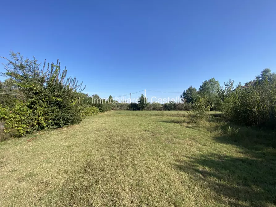 Immagine 11 di Terreno in vendita  in Pieracci a Castiglione Del Lago