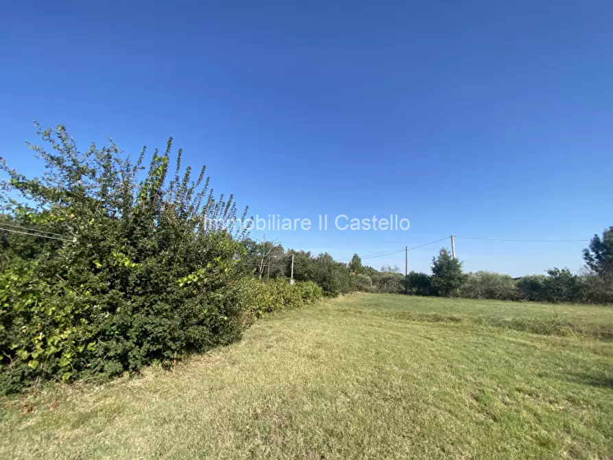 Immagine 12 di Terreno in vendita  in Pieracci a Castiglione Del Lago