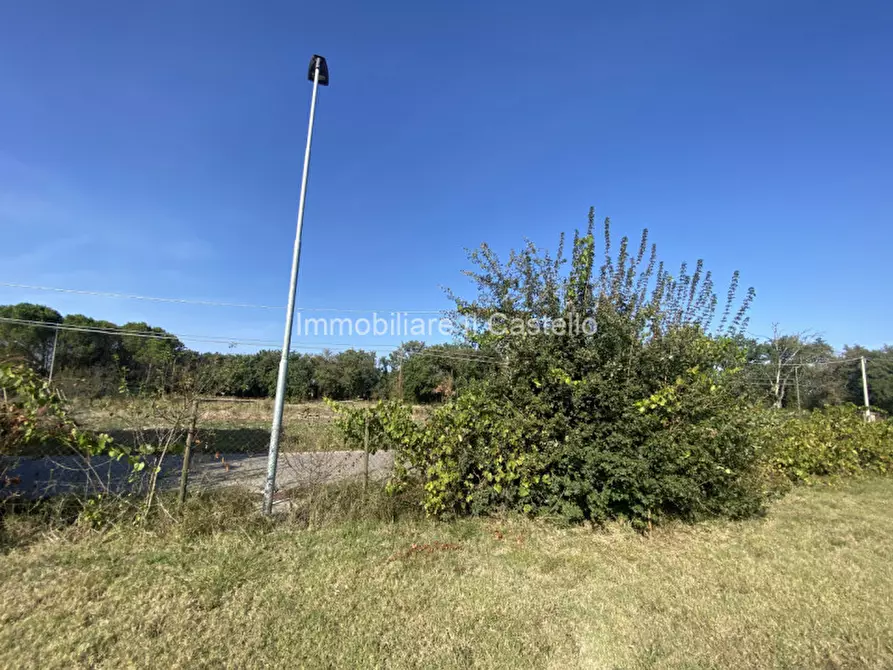 Immagine 13 di Terreno in vendita  in Pieracci a Castiglione Del Lago