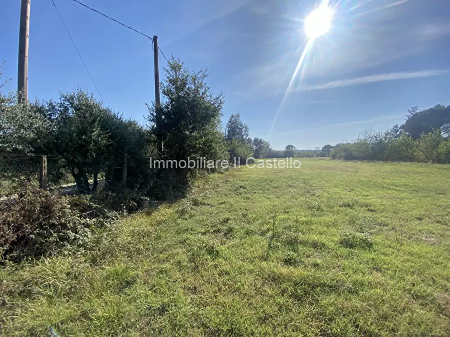 Immagine 14 di Terreno in vendita  in Pieracci a Castiglione Del Lago