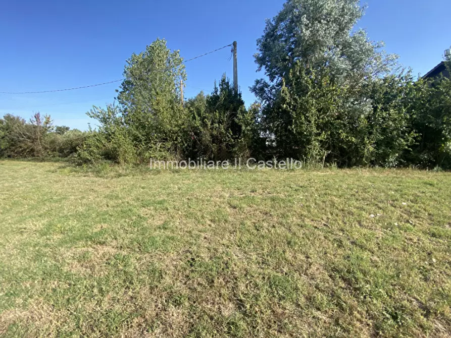 Immagine 15 di Terreno in vendita  in Pieracci a Castiglione Del Lago