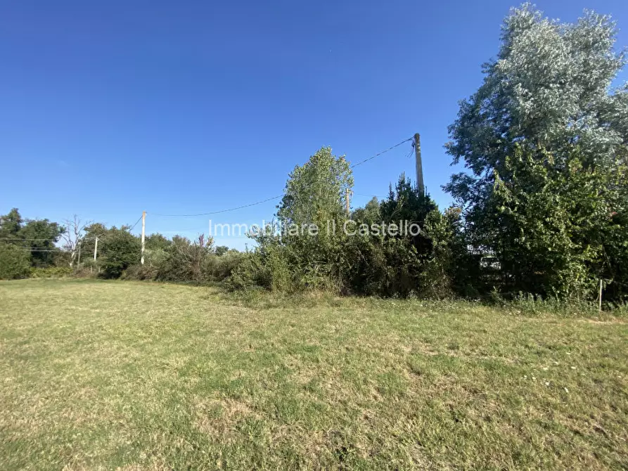 Immagine 16 di Terreno in vendita  in Pieracci a Castiglione Del Lago