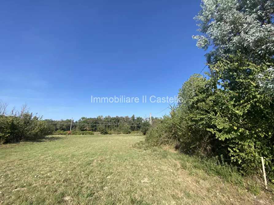 Immagine 18 di Terreno in vendita  in Pieracci a Castiglione Del Lago
