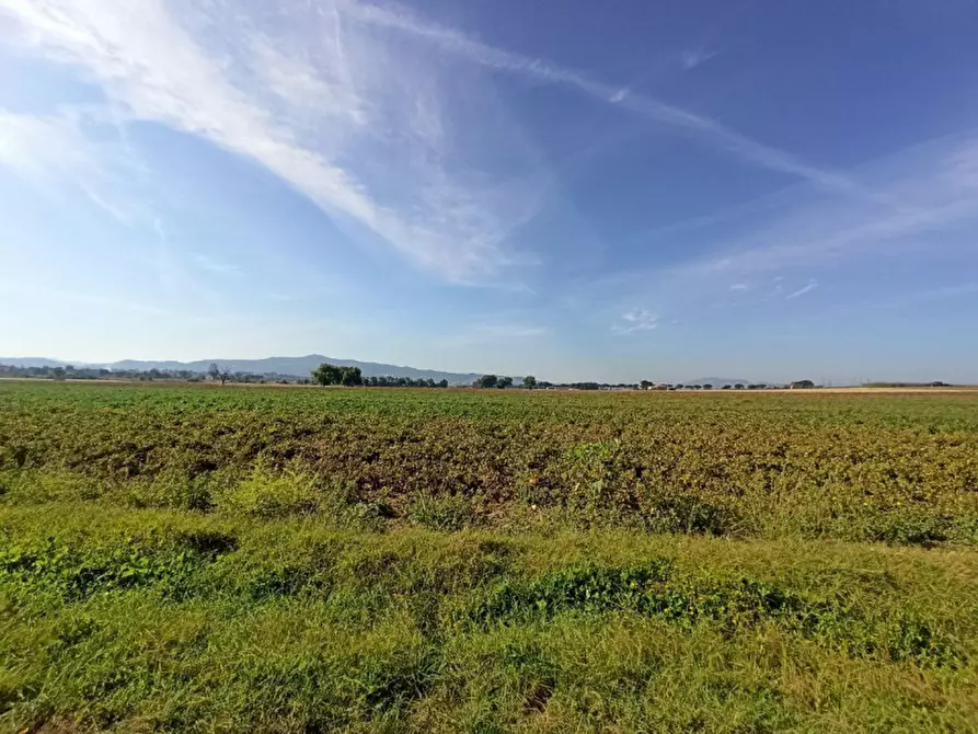Immagine 4 di Terreno in vendita  in Località Carraia a Castiglione Del Lago