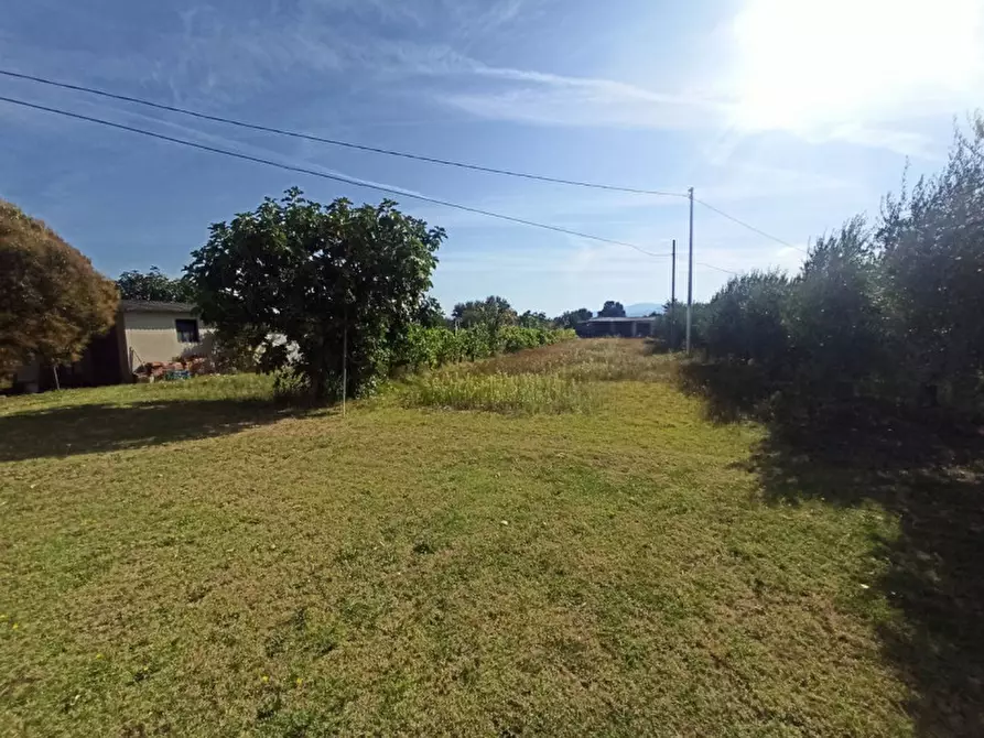 Immagine 5 di Terreno in vendita  in Località Carraia a Castiglione Del Lago