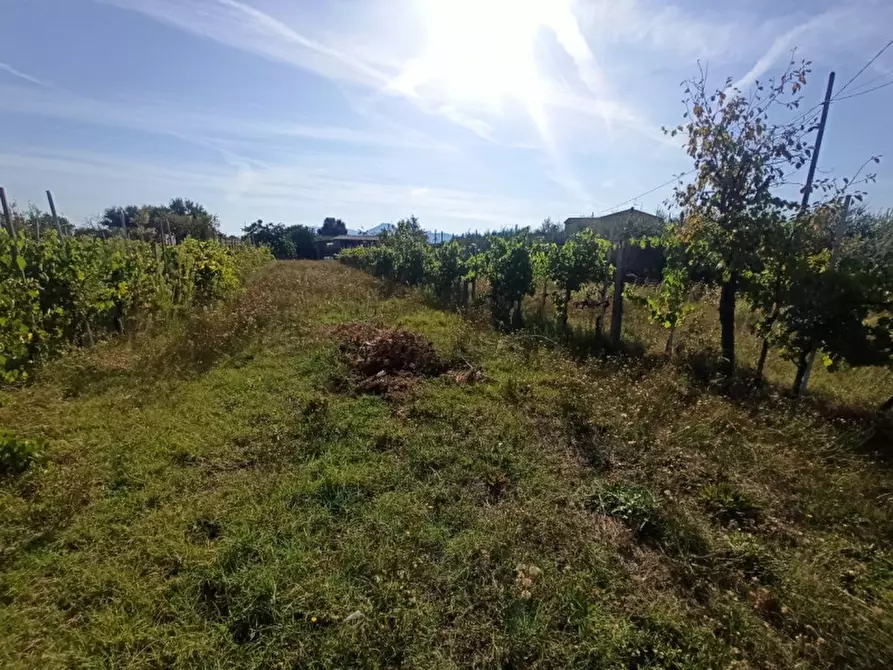 Immagine 7 di Terreno in vendita  in Località Carraia a Castiglione Del Lago