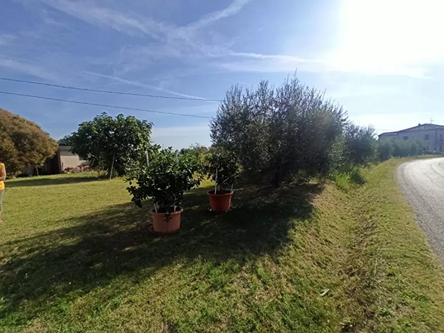 Immagine 8 di Terreno in vendita  in Località Carraia a Castiglione Del Lago