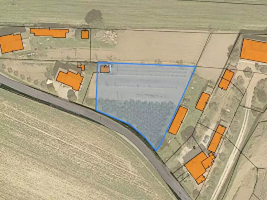 Immagine 9 di Terreno in vendita  in Località Carraia a Castiglione Del Lago