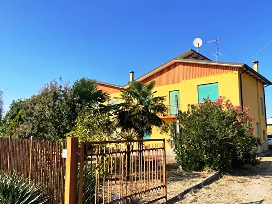 Immagine 1 di Casa indipendente in vendita  a Badia Polesine